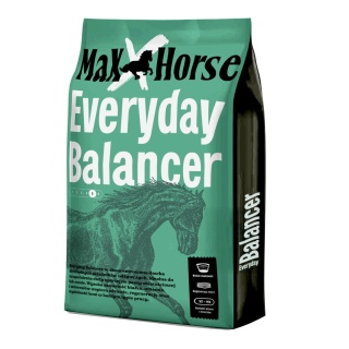 Everyday 20KG - Everyday Balancer