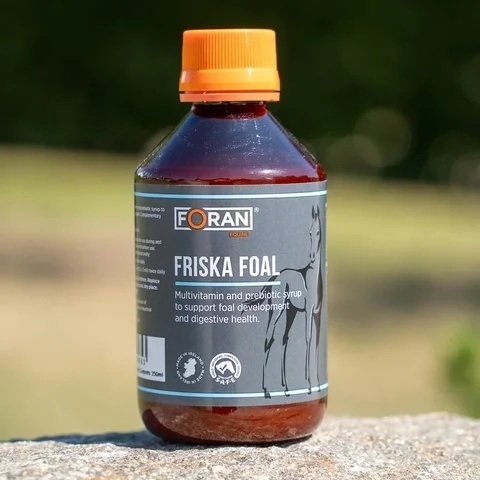 FORAN FRISKA FOAL witaminy dla źrebiąt 250 ml