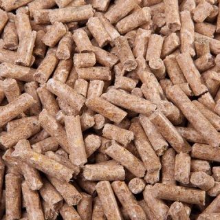 Fohlenstarter Pellets granulat dla źrebaków 25kg