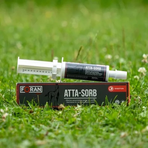 Foran Atta-Sorb pasta dla źrebiąt 60 ml - zaburzenia trawienia