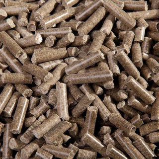 Osteomin wzmocnienie kości dla koni w fazie wzrostu 8kg