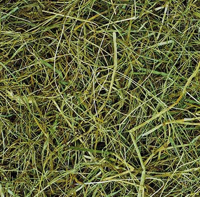 Paleta Siano Jopack Top Hay - 18 kg - 16szt