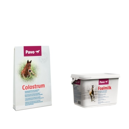 Zestaw dla źrebiąt: siara + mleko zastępcze Pavo (Colostrum + FoalMilk) – pełny start źrebaka