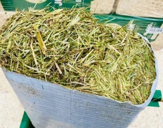 Siano Nordic Grass DELUX 15 kg – wysokiej jakości siano łąkowe dla koni, odpylone - papierowy worek