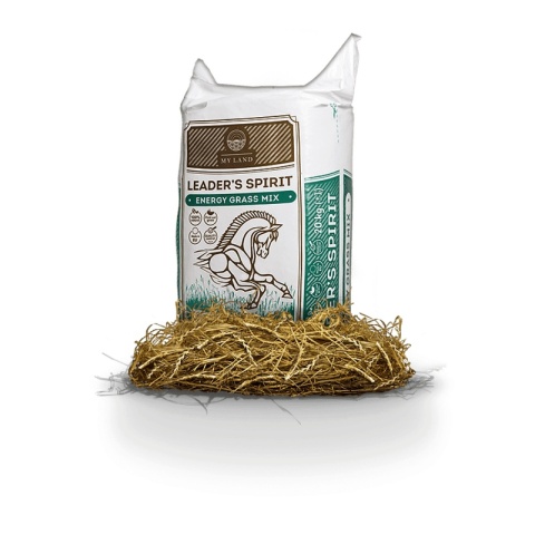 Sianokiszonka LEADER’S SPIRIT ENERGY grass mix 20 kg