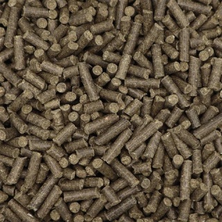 Vitalize Gastro Plus E- bezzbożowa pasza dla koni bez lucerny i soi 20 kg